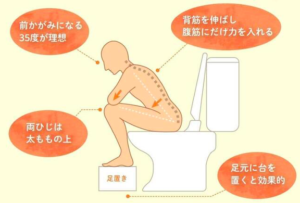 正しい排便習慣